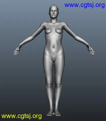 Maya模型ME13048的图片1