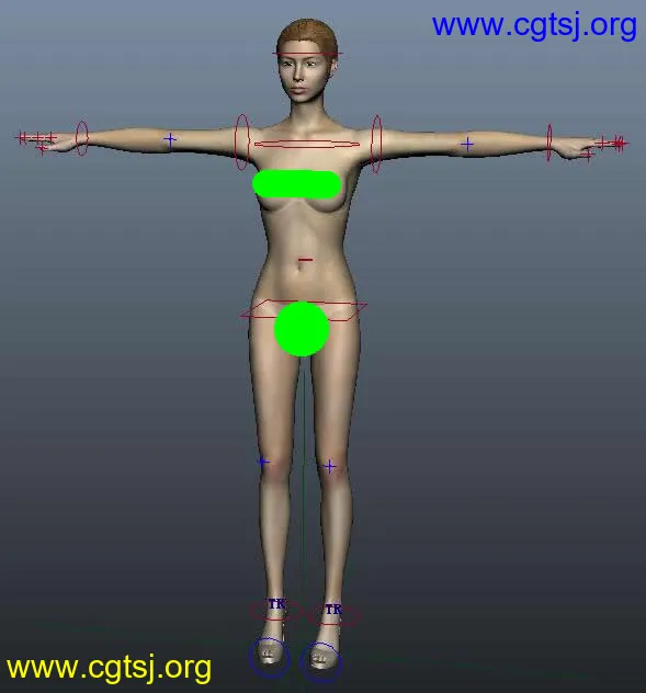 Maya模型ME15546的图片1