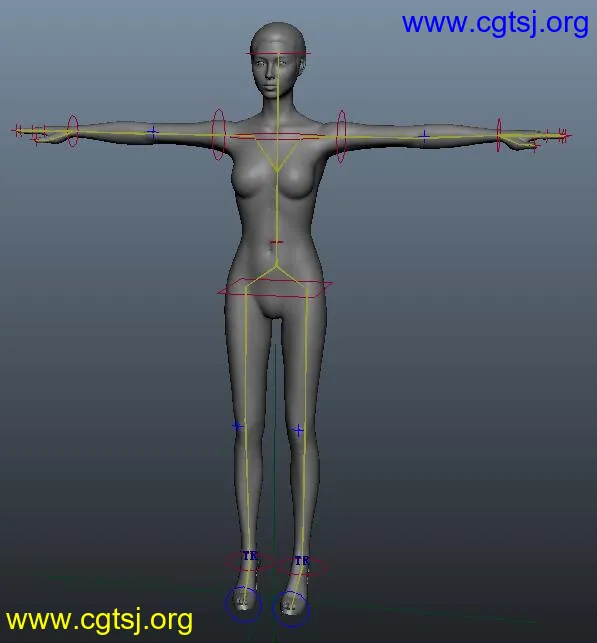 Maya模型ME15546的图片2