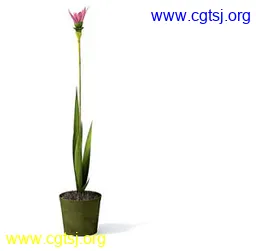 Maya模型md2634_nb24395_w256_h251_x的图片