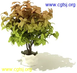 Maya模型md4355_nb26096_w256_h244_x的图片