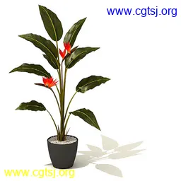 Maya模型md4368_nb26109_w256_h256_x的图片