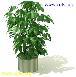 Maya模型md4373_nb26114_w256_h259_x的图片