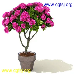 Maya模型md4388_nb26129_w256_h256_x的图片