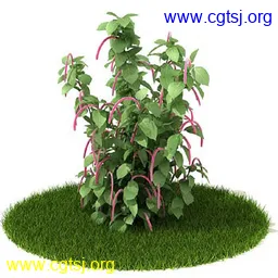Maya模型md4443_nb26183_w256_h256_x的图片