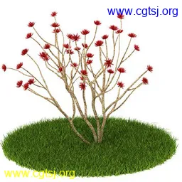 Maya模型md4452_nb26192_w256_h256_x的图片