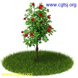 Maya模型md4456_nb26196_w256_h256_x的图片