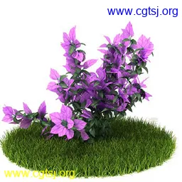 Maya模型md4463_nb26203_w256_h256_x的图片