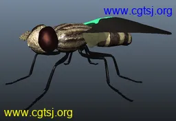 Maya模型me10159_nb12243_w256_h176_x的图片