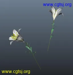 Maya模型me1019_nb33661_w256_h263_x的图片