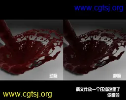 Maya模型me1029_nb33682_w256_h204_x的图片