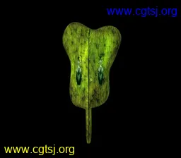 Maya模型me10622_nb12782_w256_h224_x的图片