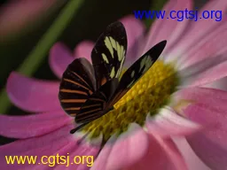 Maya模型me10749_nb12919_w256_h192_x的图片