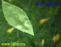 Maya模型me10776_nb12946_w256_h195_x的图片