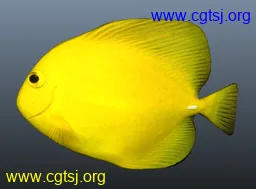 Maya模型me11049_nb13259_w256_h189_x的图片