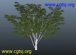 Maya模型me11113_nb13333_w256_h186_x的图片