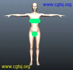 Maya模型me11634_nb13924_w256_h245_x的图片