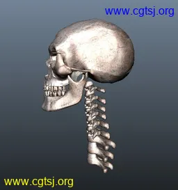 Maya模型me11747_nb14039_w256_h273_x的图片