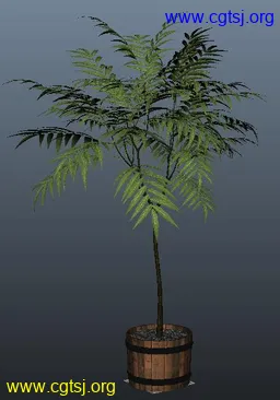 Maya模型me1248_nb2420_w256_h366_x的图片