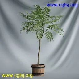 Maya模型me1248_nb2422_w256_h256_x的图片