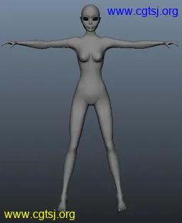 Maya模型me12662_nb15091_w256_h314_x的图片