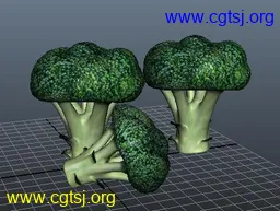 Maya模型me1291_nb2486_w256_h193_x的图片