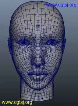 Maya模型me12935_nb15394_w256_h345_x的图片