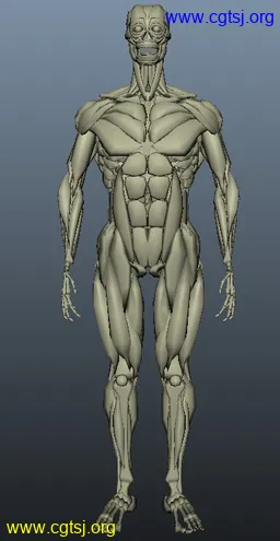 Maya模型me12939_nb15399_w256_h495_x的图片