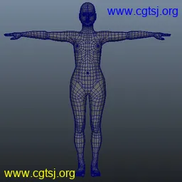 Maya模型me12951_nb15411_w256_h256_x的图片