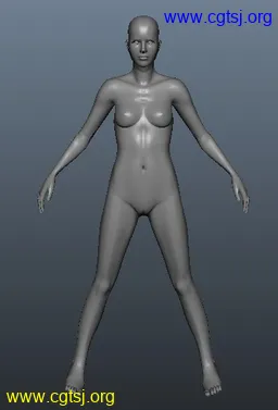 Maya模型me12968_nb15428_w256_h377_x的图片