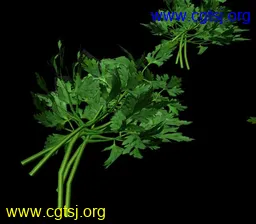 Maya模型me1297_nb2493_w256_h224_x的图片