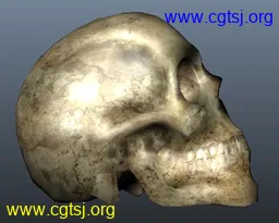 Maya模型me13023_nb15483_w256_h205_x的图片