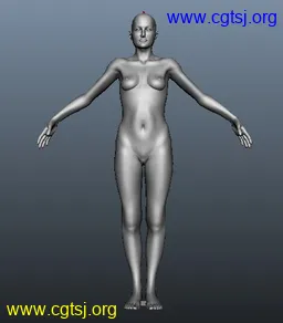 Maya模型me13048_nb15511_w256_h292_x的图片