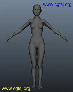 Maya模型me13481_nb16012_w256_h323_x的图片