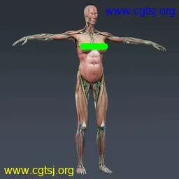 Maya模型me13592_nb16136_w256_h256_x的图片