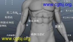 Maya模型me13721_nb16299_w256_h150_x的图片