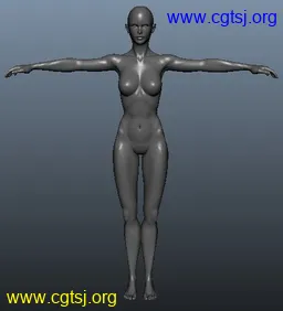 Maya模型me13938_nb16554_w256_h282_x的图片