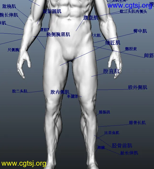 Maya模型ME14290的图片1