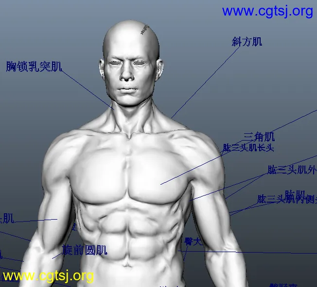 Maya模型ME14290的图片2