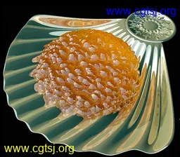 Maya模型me1438_nb2712_w256_h224_x的图片