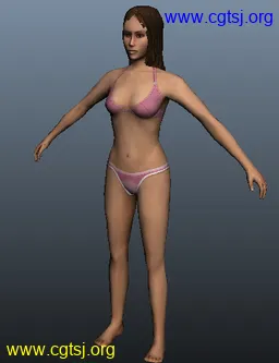 Maya模型me14543_nb17210_w256_h333_x的图片