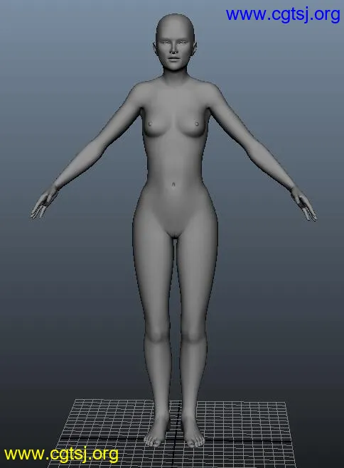 Maya模型ME14754的图片2