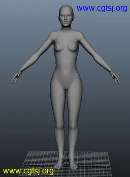 Maya模型me14754_nb17405_w256_h348_x的图片