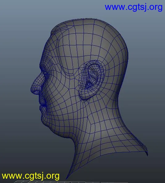 Maya模型ME15175的图片1