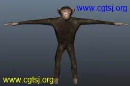 Maya模型me1554_nb2838_w256_h169_x的图片
