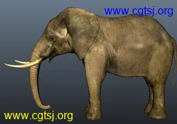 Maya模型me1557_nb2842_w256_h180_x的图片