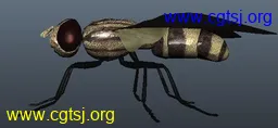 Maya模型me1559_nb2844_w256_h118_x的图片
