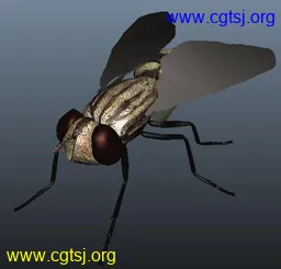 Maya模型me1559_nb2845_w256_h245_x的图片