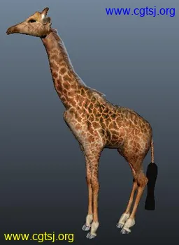 Maya模型me1561_nb2847_w256_h351_x的图片