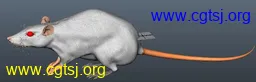 Maya模型me1565_nb2852_w256_h82_x的图片